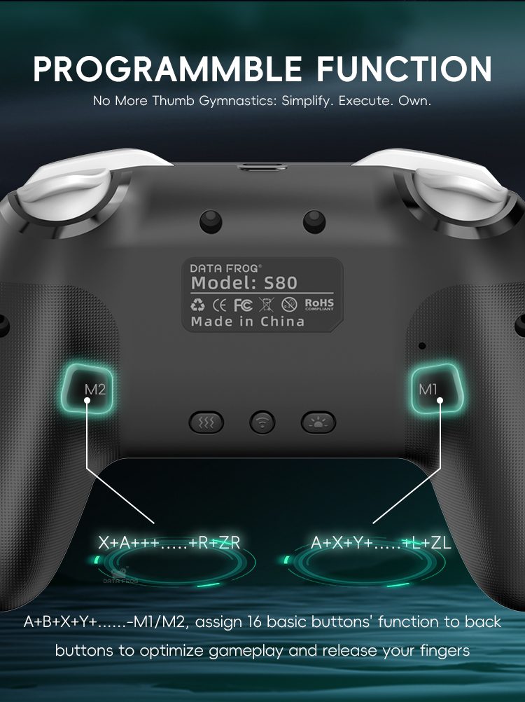 DATA FROG 2 Pack Wireless Pro  - Gaming Console For Android Tv ulasan dan harga